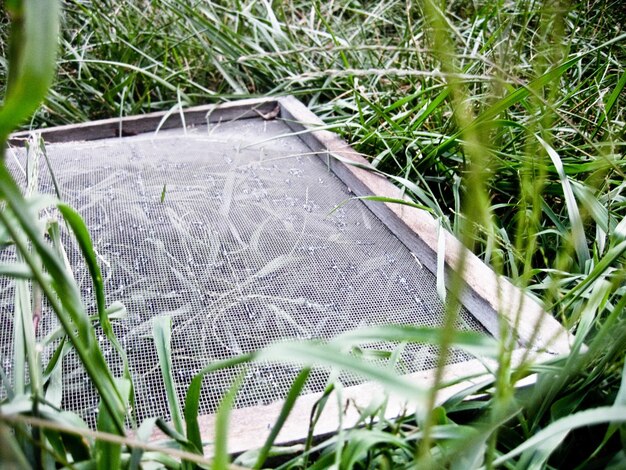 Afbeelding van oud schoolbord dat in hoog gras ligt