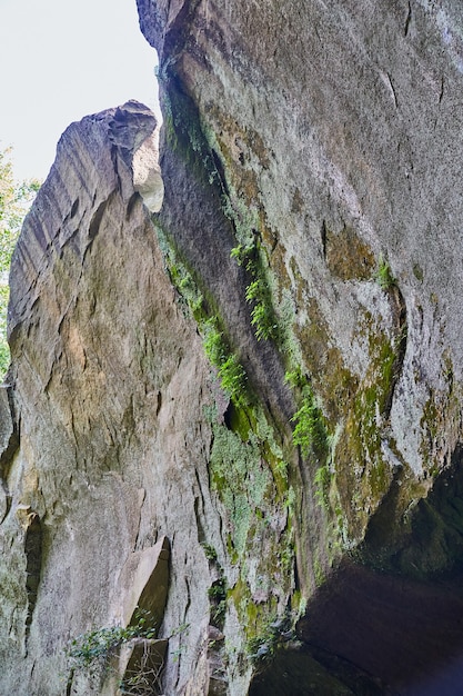 Afbeelding van overhangende klif met stukjes mos en korstmossen erop