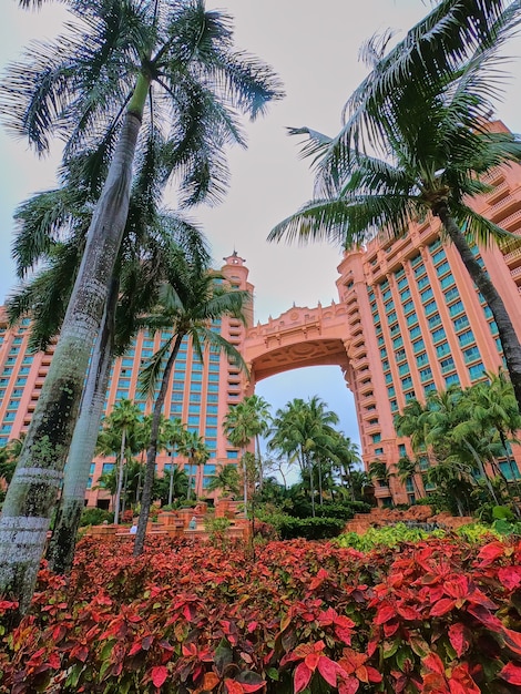 Afbeelding van palmbomen en tropische tuinen per resorthotel