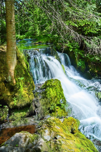 Afbeelding van verborgen waterval tegen grote bemoste rotsen en boom