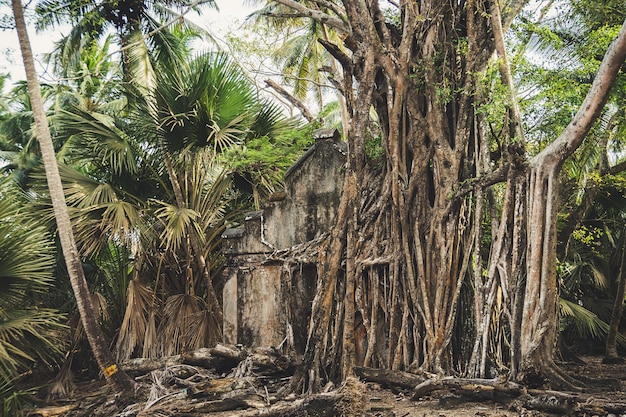 Afbeelding van verlaten oud huis op Ross Island, geschoten vanaf Ross Island