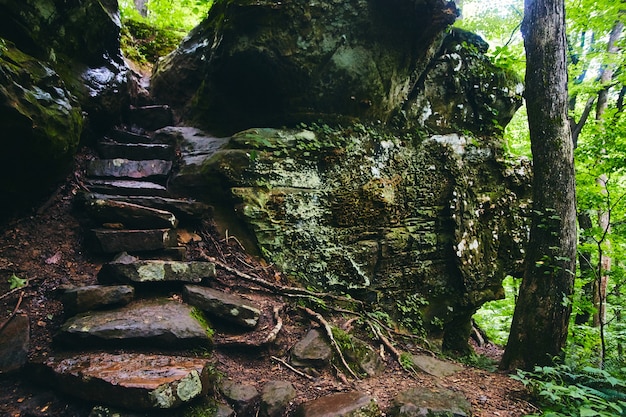 Afbeelding van Wandelpad van stenen treden omhoog in rotsen bedekt met korstmos