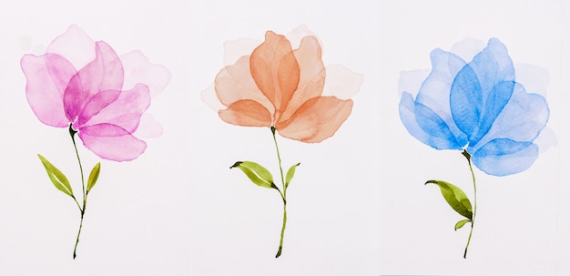 Afbeelding waterkleur, hand tekenen, bloemen roze, oranje, blauw.