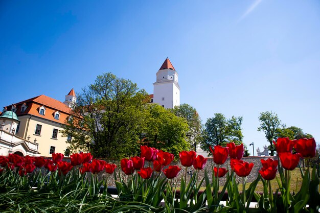 Afbeeldingen van historische gebouwen omringd door tuinen en parken in Bratislava, Slowakije