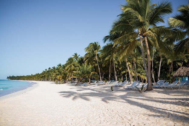 Afgelegen strand op het eiland Saona La Romana Dominicaanse Republiek