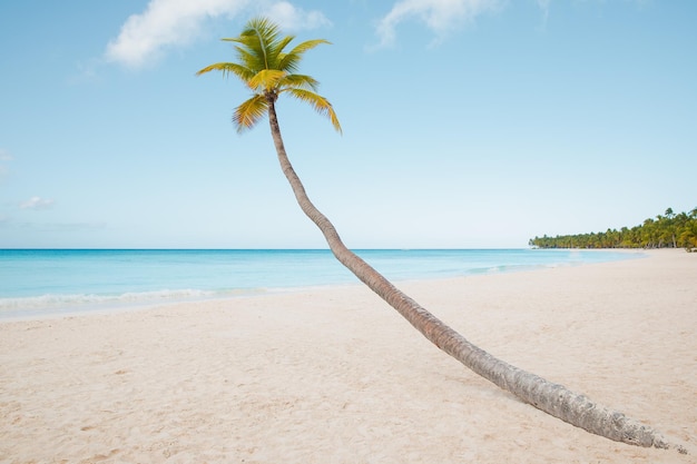 Afgelegen strand op het eiland Saona La Romana Dominicaanse Republiek