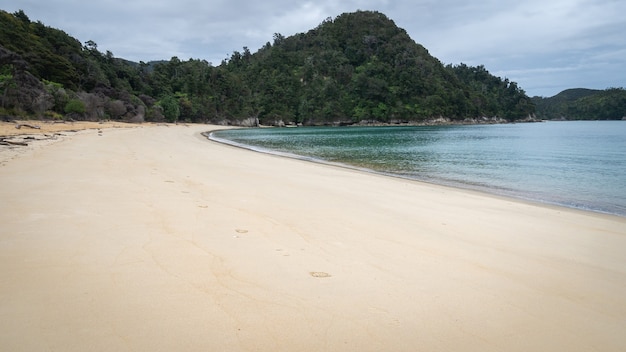 Afgelegen tropisch strand geschoten in abel tasman national park nieuw-zeeland