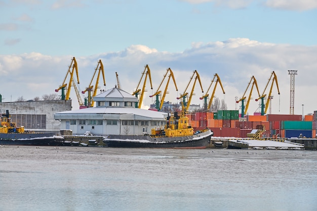 Afgemeerde vrachtschepen en havenkranen in de haven. Zeehaven, vrachtcontainerwerf, containerschipterminal, scheepswerf. Zaken en commercie, logistiek