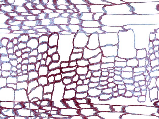 Photo africa animal leather illustration. crocodile seamless pattern. alligator closeup background. predator animal skin print. dragon skin imitation. hand drawn crocodile pattern. proton purple