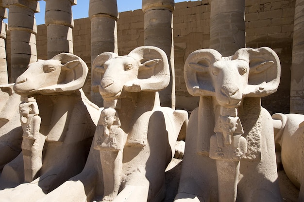 Africa Egypt Luxor Karnak temple