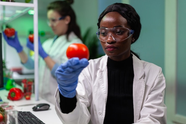 Scienziata afroamericana che tiene in mano un pomodoro ogm che analizza dopo l'iniezione di pesticidi che lavorano all'esperimento di microbiologia in laboratorio. medico chimico che analizza geneticamente modificato vegetale