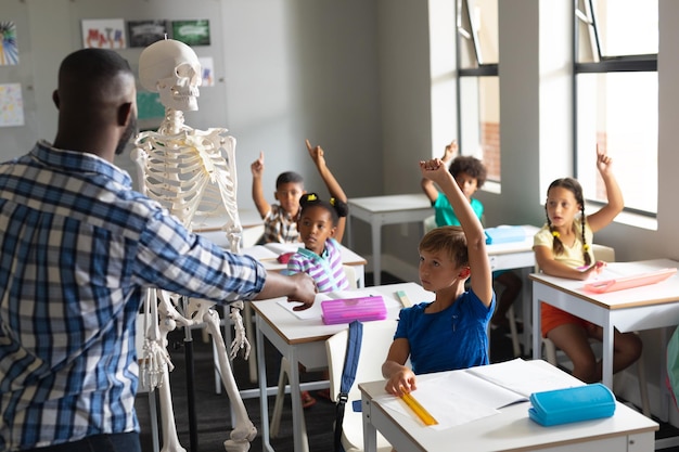 African american young male teacher explaining skeleton to multiracial elementary students in class