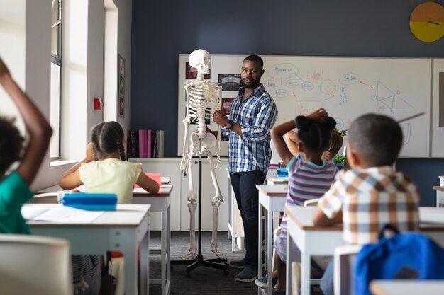 Молодой афроамериканский учитель объясняет скелет многорасовым ученикам начальной школы за столом