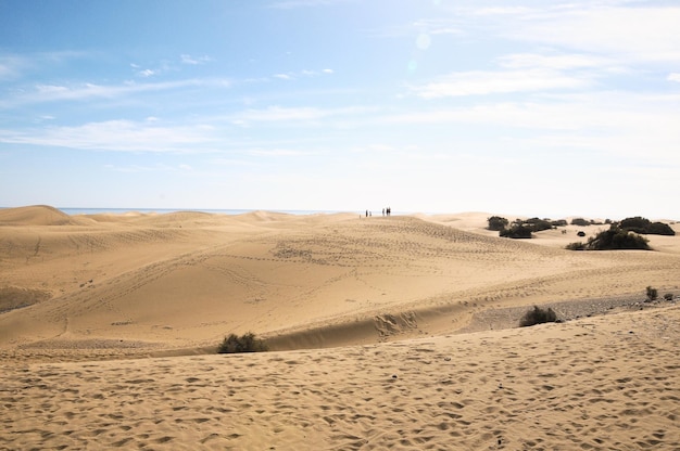 African European Sand Dune Desert Landscape in Gran Canaria Island Spain