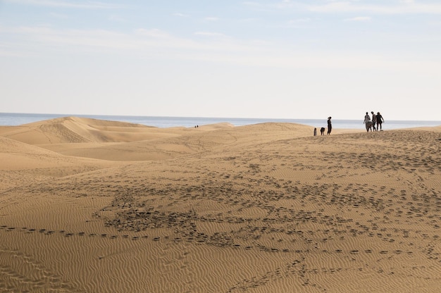 African European Sand Dune Desert Landscape in Gran Canaria Island Spain