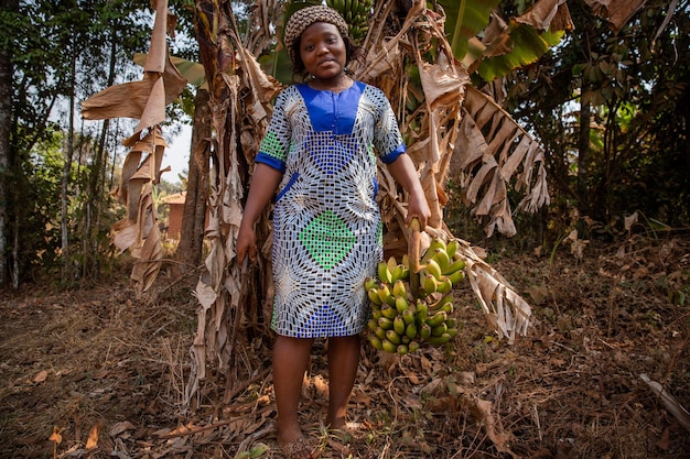 African farmer on a banana plantation cuts a bunch of bananas\
with an ax happy female farmer at work