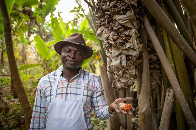 Photo african farmer near a raphia hookeri plant with the harvested fruit