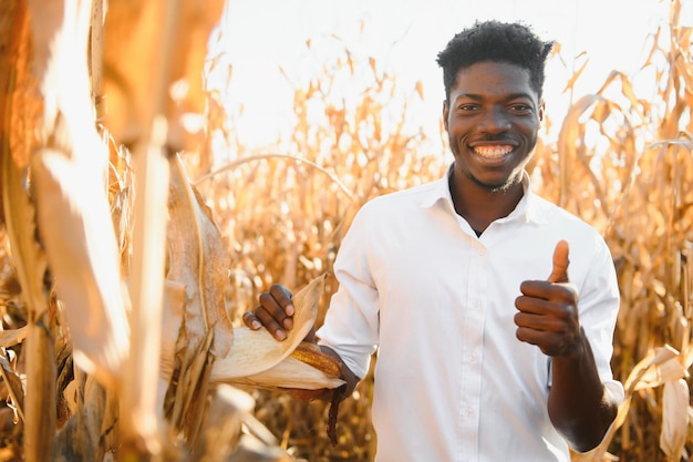 African Farmer stand in the corn plantation field