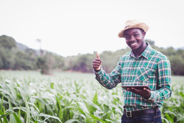Photo african farmer with hat using tablet in the organic corn plantation fieldagriculture or cultivation concept