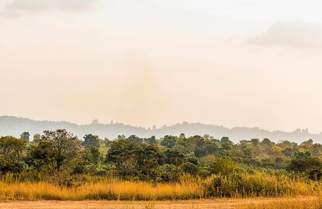 Foto paesaggio della natura africana al tramonto