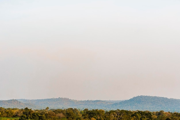 Foto paesaggio della natura africana con il cielo al tramonto