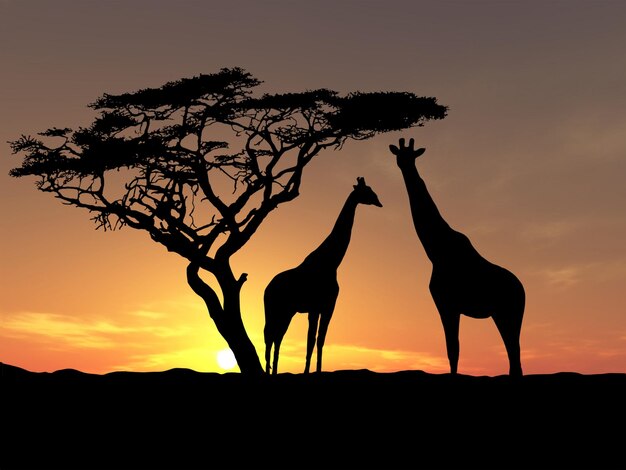 Photo african safari sunrise landscape