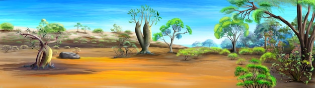 African savanna desert landscape