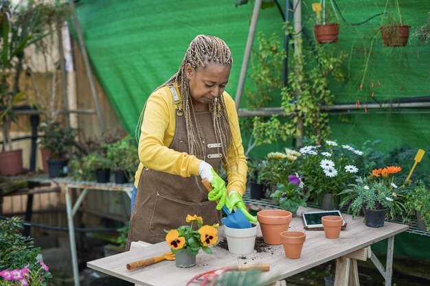 African senior woman working inside garden greenhouse