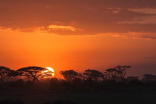 Photo african sunrise at the sunrise