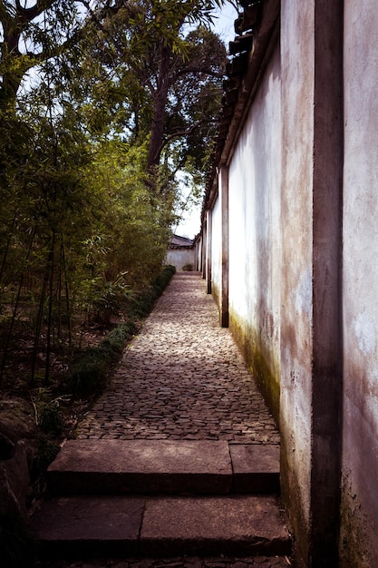 緑の木々 と低木と 2 つの壁の間の石畳の道に敷設アフリカ チューリップ ツリー reddishorange 花