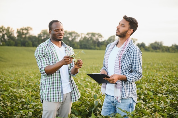 An AfricanAmerican farmer and an Indian businessman in a soybean field discuss the sale of soybeans