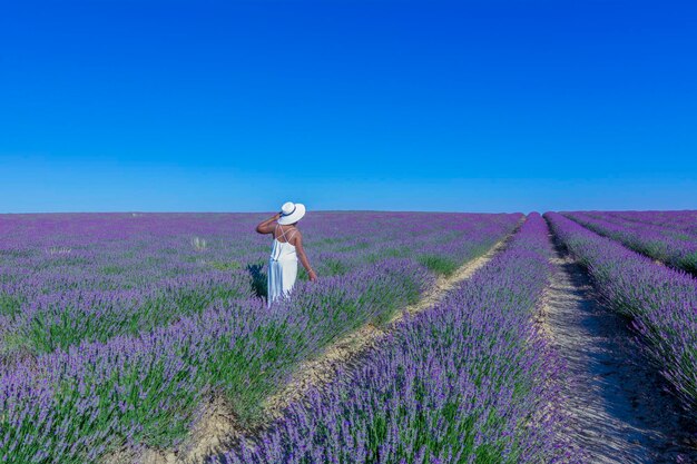 AfricanAmerican woman with white dress and hat strolling between the rows of lavender in bloom