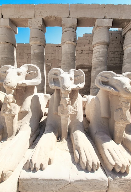 Afrika Egypte Luxor Karnak tempel