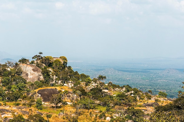 Foto afrikaans natuurlandschap met heldere hemel