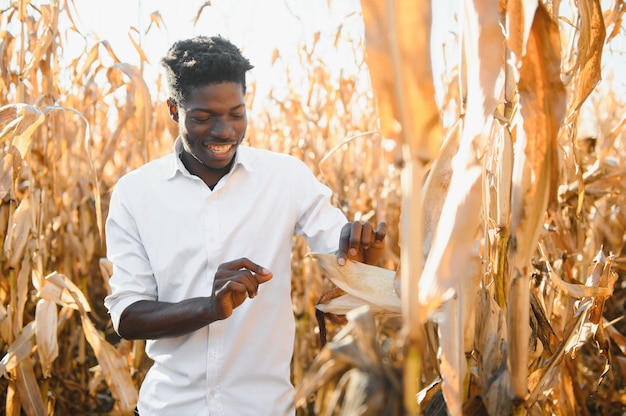 Afrikaanse boer staat op het maïsplantageveld