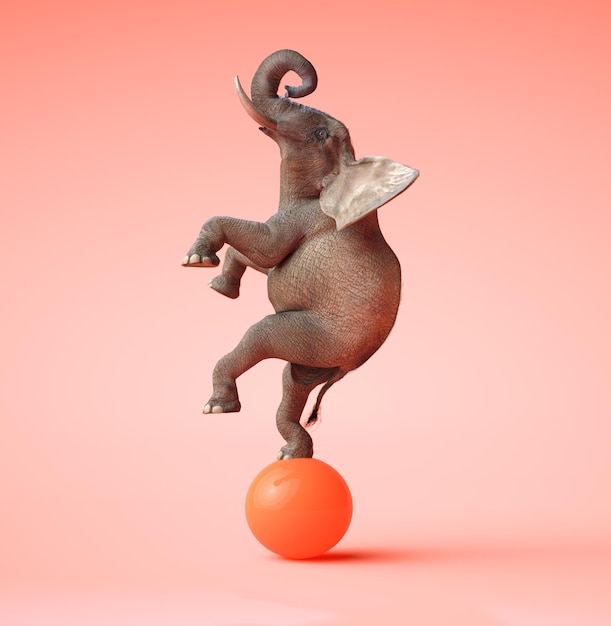 Afrikaanse olifant die op een oranje bal slingert. 3D illustratie