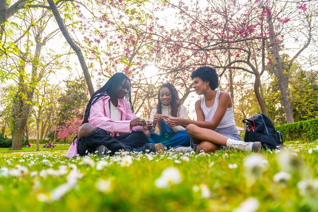 Afrikaanse vrienden spelen met bloemen terwijl ze in het park praten.