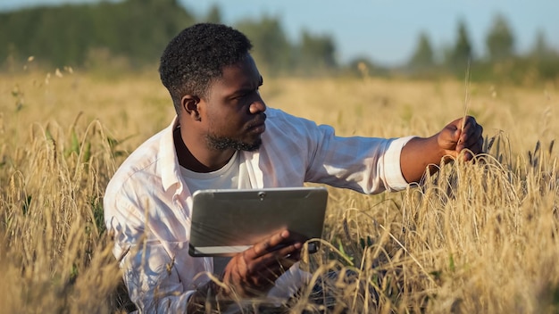 Afro-Amerikaanse agronoom verkent plantage van rijpe tarwe