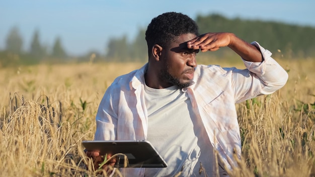 Afro-Amerikaanse agronoom verkent rijpe tarweplantages bij zonsondergang