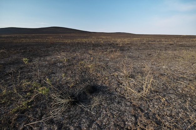 Dopo il campo di combustione