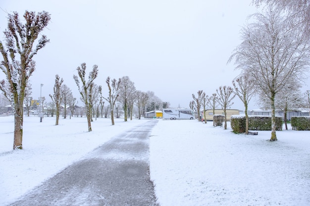 写真 雪の日の後