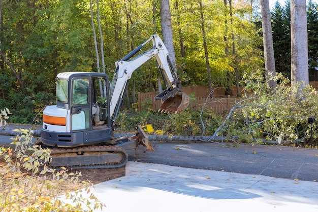 Photo after tornado uprooted trees fell into street requiring tractor cleanup