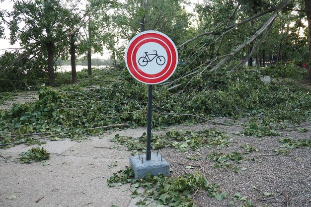 Aftermath of the hurricane 071923 Sremska Mitrovica Serbia Broken trees mess on the street Broken branches Road sign with the image of a bicycle in a red circle Prohibition of cycling