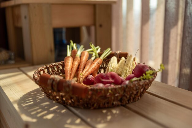 The afternoon sun shines on the red and orange radishes in the basket