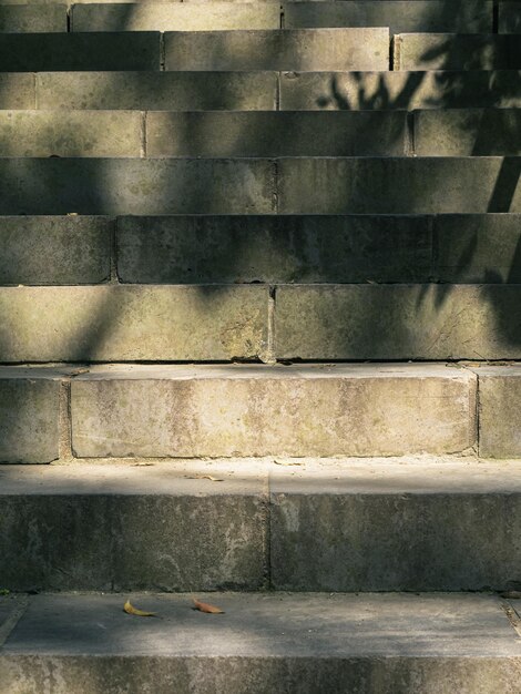 The afternoon sunlight shines through the trees and illuminates the stairs