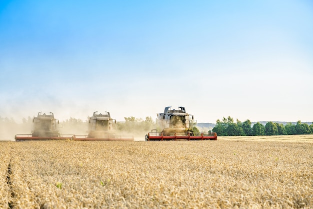 Against the backdrop of a sunny summer day and blue sky with clouds combine harvester harvesting