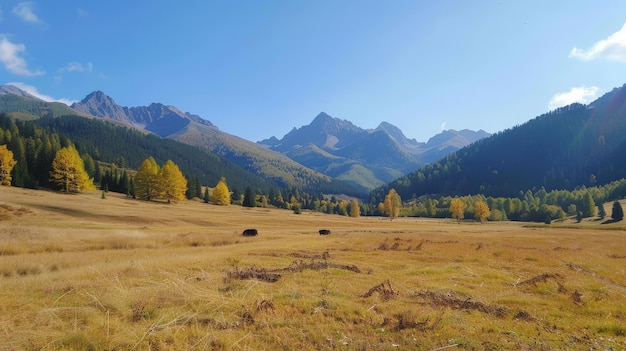 Against the backdrop of towering peaks the autumn mountain pasture becomes a haven of tranquility where the melody of rustling leaves serenades the soul