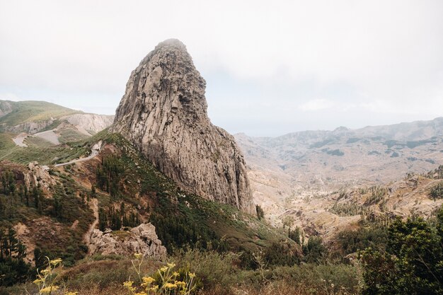 La Gomera 섬의 Garajonay 공원 근처 Agando 절벽.