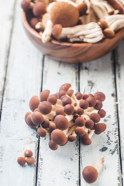 Agaric honey mushrooms in a wooden bowl over white wooden