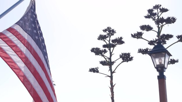 Agave cactus flower wild west lantern and american flag western california usa